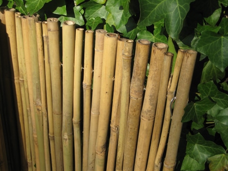 Bamboemat Dalian - Afbeelding 2