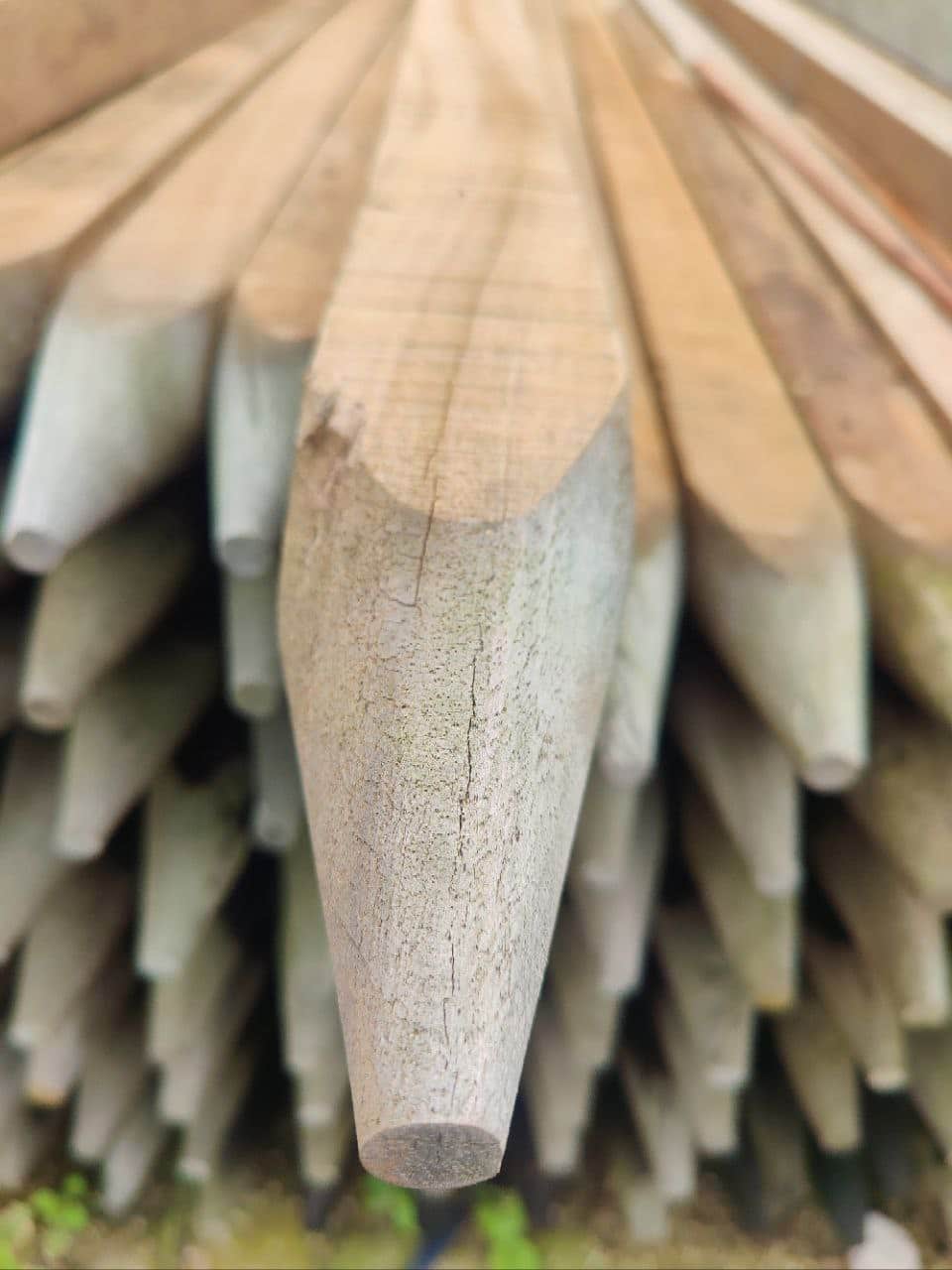 fsc-hardhouten-paal-randijk-bamboe-5