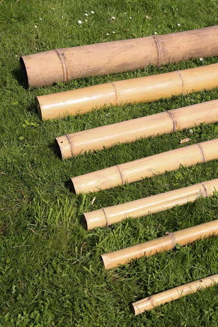 Bamboe bamboe stokken bamboo poles tonkinstokken naturel