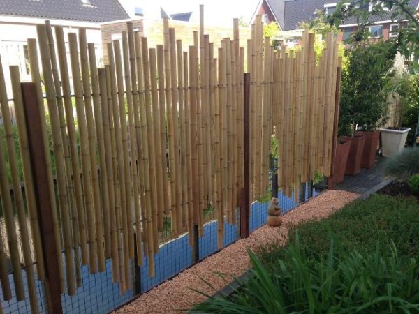 Bamboe palen naturel - Afbeelding 8