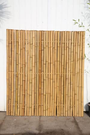 Groot bamboescherm tegen witte achtergrond