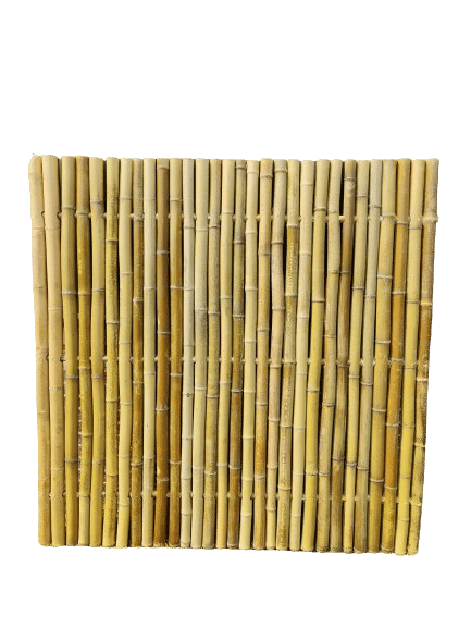 Bamboescherm-george-180x180-randijk-bamboe1