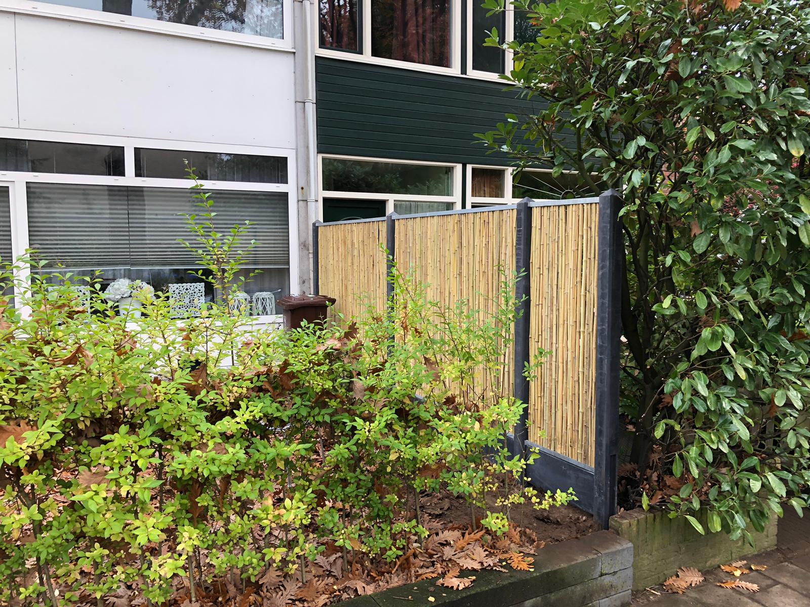 Bamboemat Dalian - Afbeelding 4