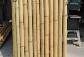 Bamboepoortdeur Jumbo