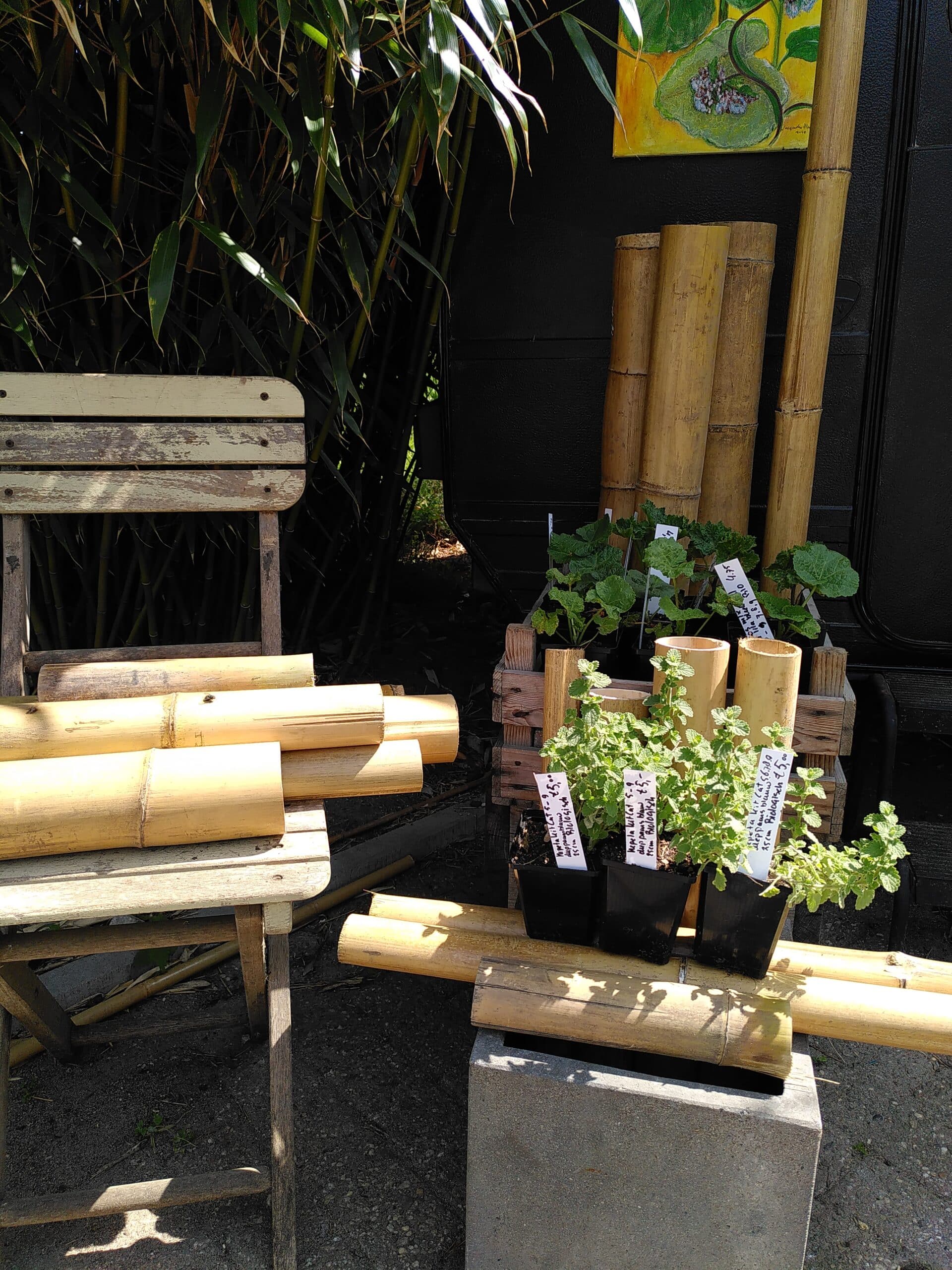 bio_kruiden bio_kruiden