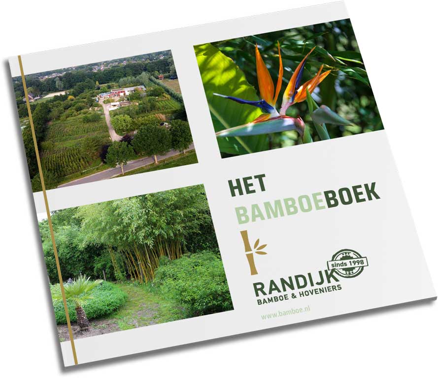 Randijk-BamboeBoek-cover Randijk-BamboeBoek-cover