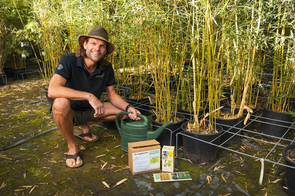 Bamboe-onderhoud-in-de-zomer-web-19 Bamboe-onderhoud-in-de-zomer-web-19