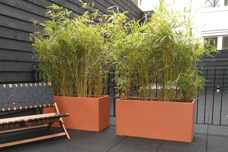 Bamboe bakken als afscheiding op een dakterras