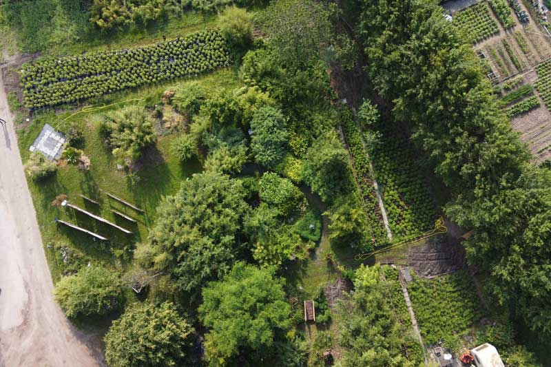 Onze biologische bamboekwerkerij in Leusden van bovenaf